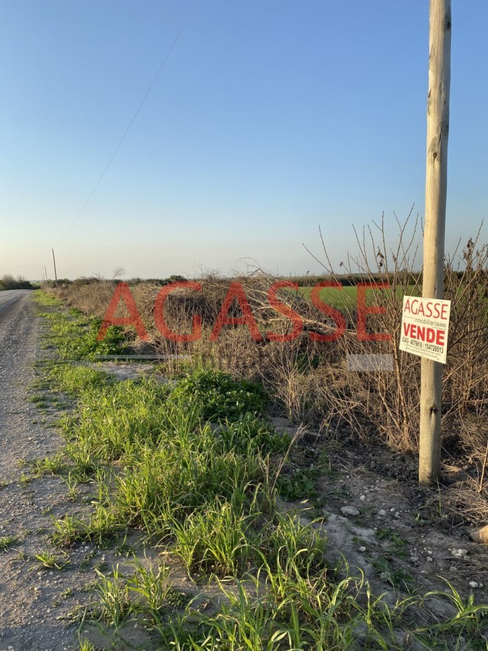 Zona Espinillo. Vendo 13 Hectareas de campo en produccion. 