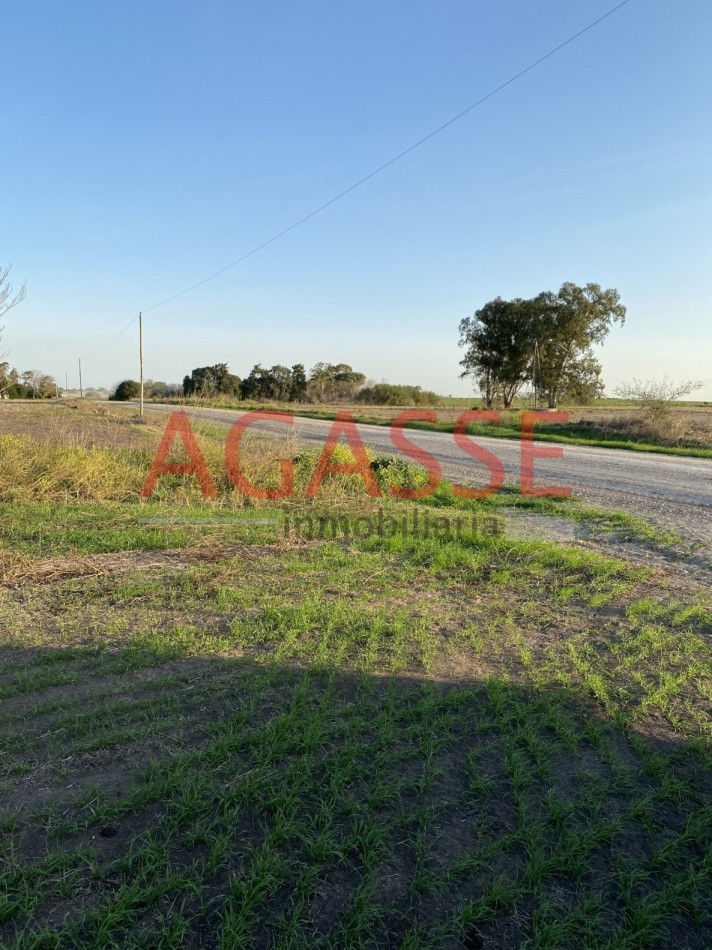 Zona Espinillo. Vendo 13 Hectareas de campo en produccion. 
