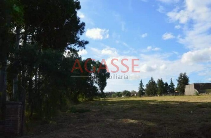 RUTA NACIONAL 12. ANTES DE COLONIA AVELLANEDA. VENDO ESPECTACULAR TERRENO