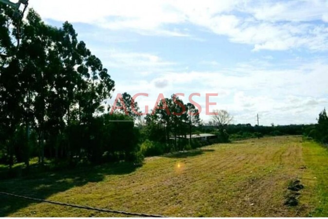 RUTA NACIONAL 12. ANTES DE COLONIA AVELLANEDA. VENDO ESPECTACULAR TERRENO