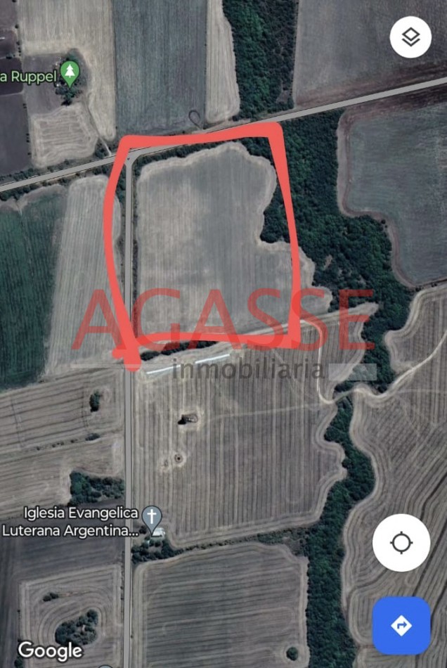 Zona Espinillo. Vendo 13 Hectareas de campo en produccion. 