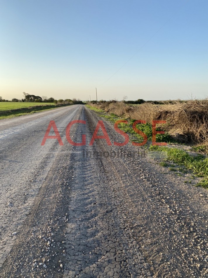 Zona Espinillo. Vendo 13 Hectareas de campo en produccion. 
