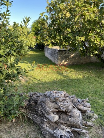 San Agustin calle los ceibos Vendo Casa 2 Dormitorios con amplio fondo