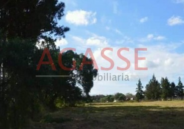 RUTA NACIONAL 12. ANTES DE COLONIA AVELLANEDA. VENDO ESPECTACULAR TERRENO